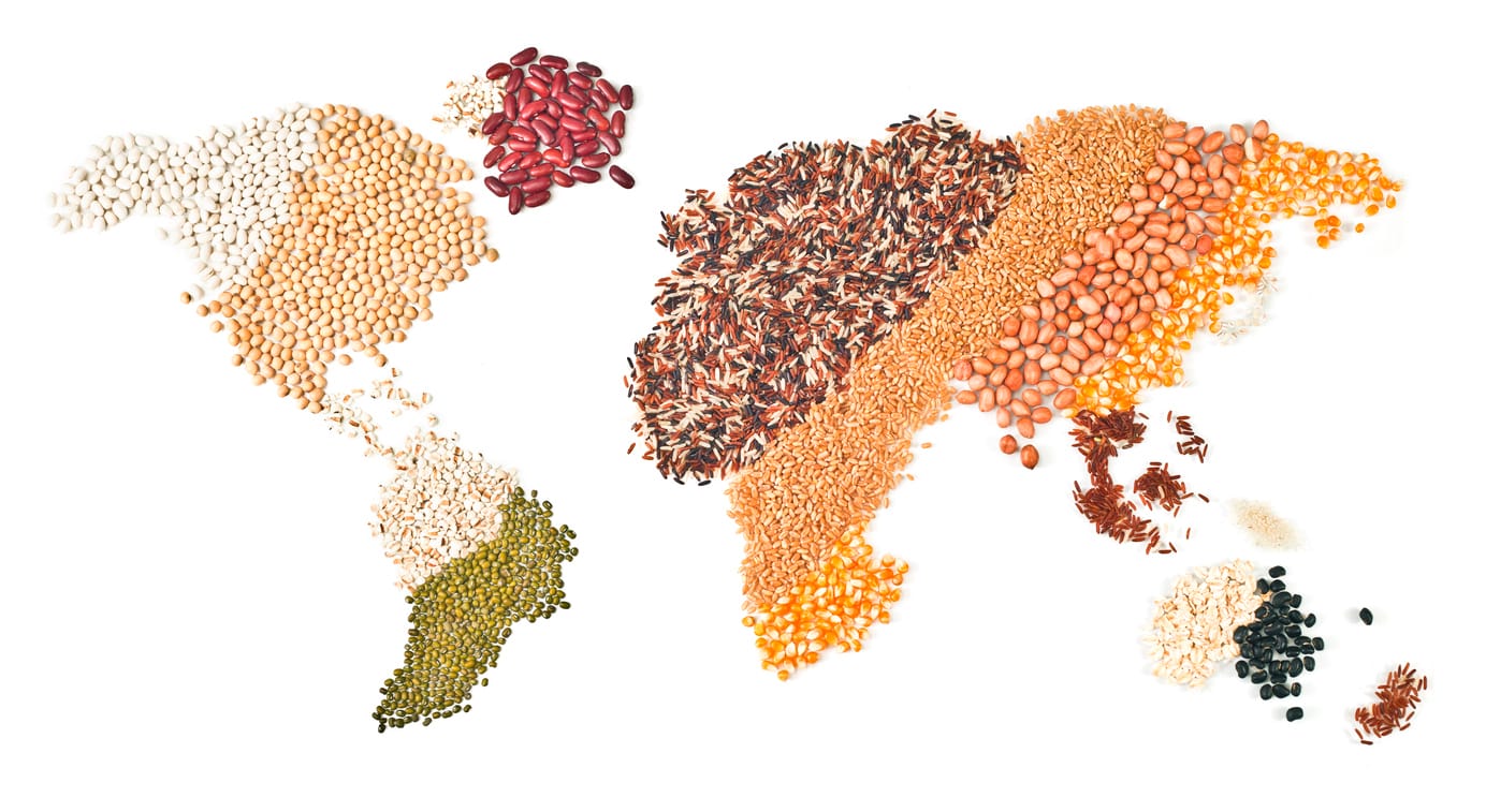 International Importers & Distributors of Food Products