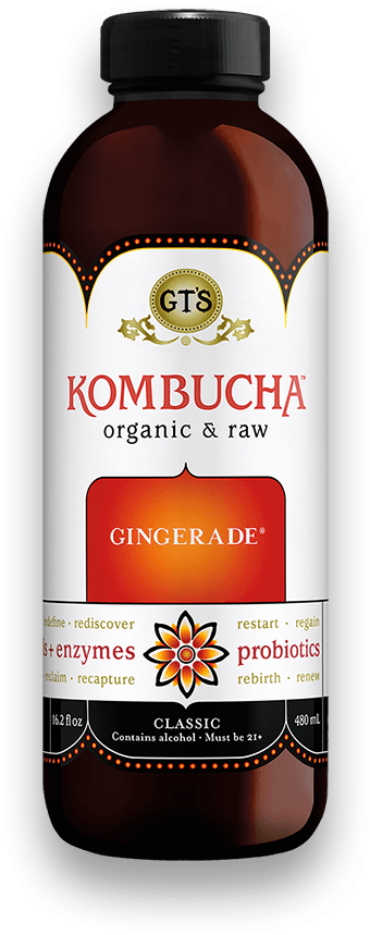 GT's Classic Kombucha Gingerade 12 units per case 16.0 fl
