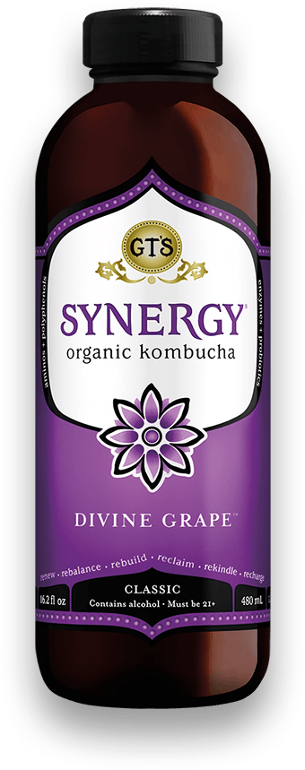 GT's Classic Synergy Divine Grape 12 units per case 16.0 fl