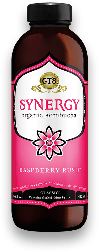 GT's Classic Synergy Raspberry Rush 12 units per case 16.0 fl