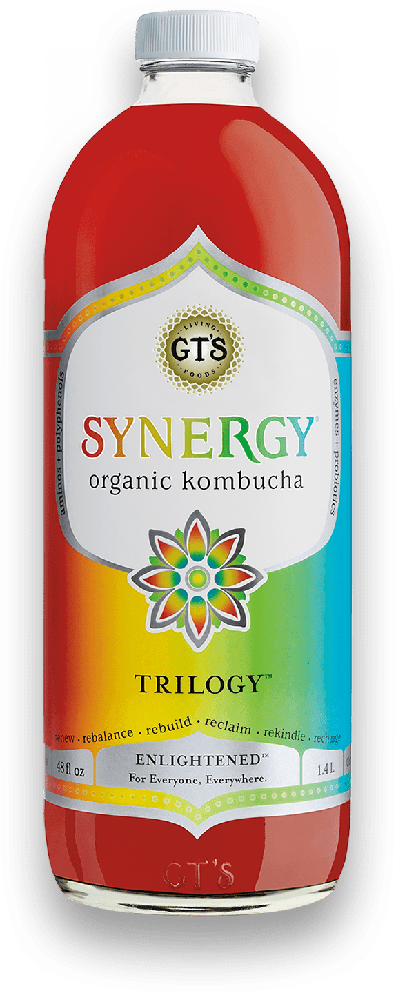 GT's Synergy Kombucha Trilogy 6 units per case 48.0 fl