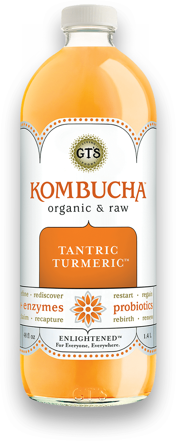 GT's Enlightened Kombucha Tantric Turmeric 6 units per case 48.0 fl