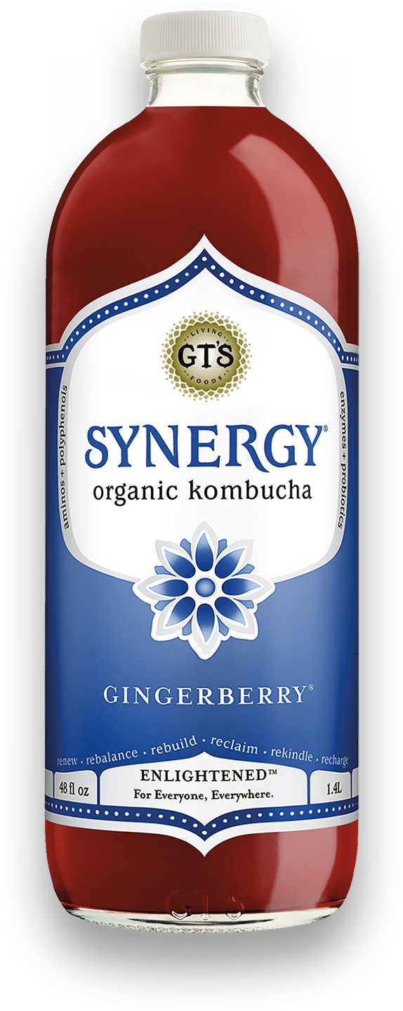 GT's Synergy Kombucha Gingerberry 6 units per case 48.0 fl