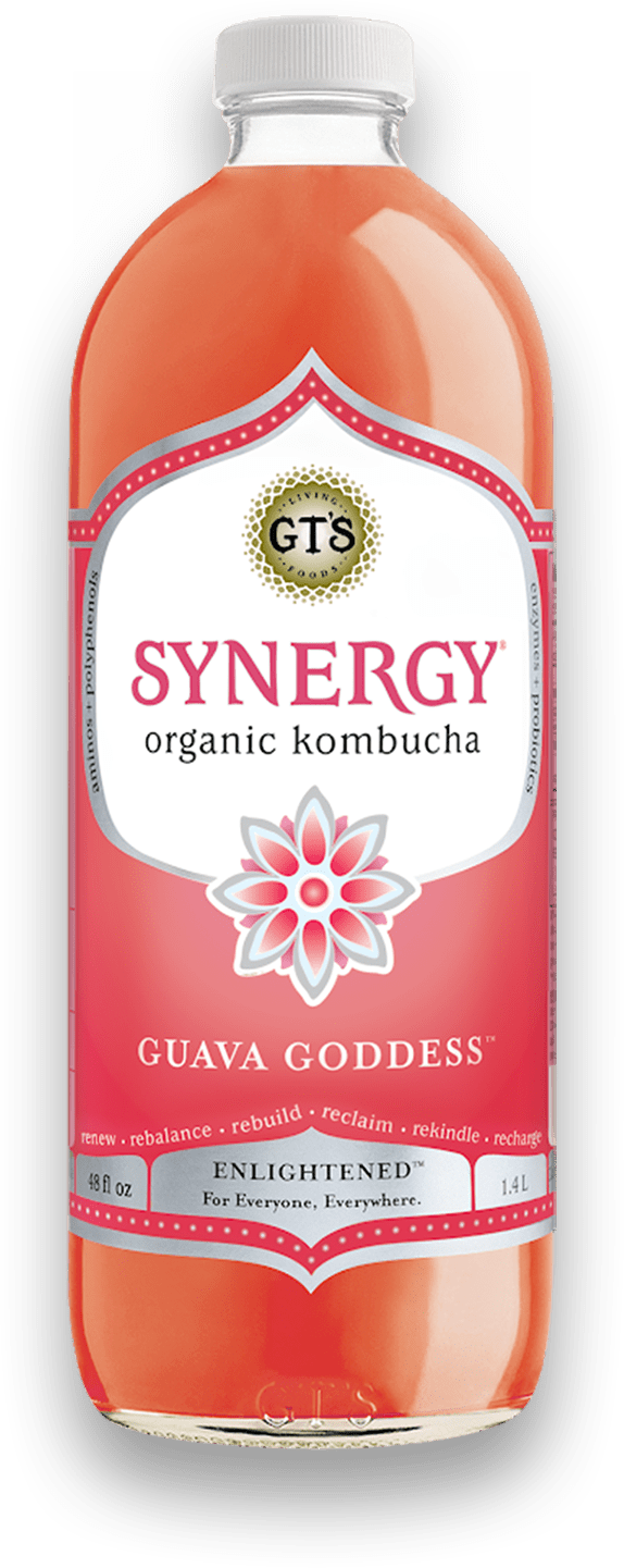 GT's Synergy Kombucha Guava Goddess 6 units per case 48.0 fl