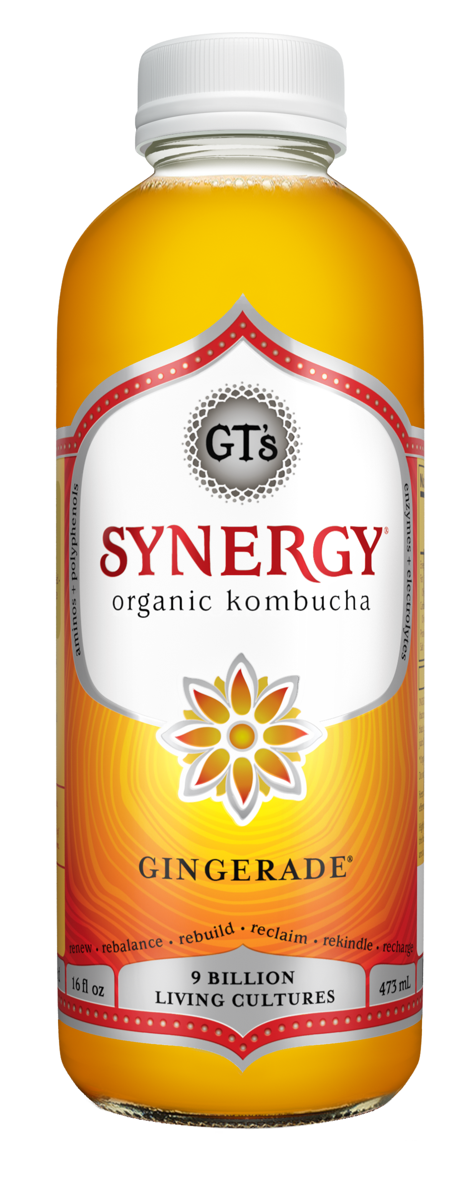 GT's Synergy Kombucha Gingerade 12 units per case 16.0 fl