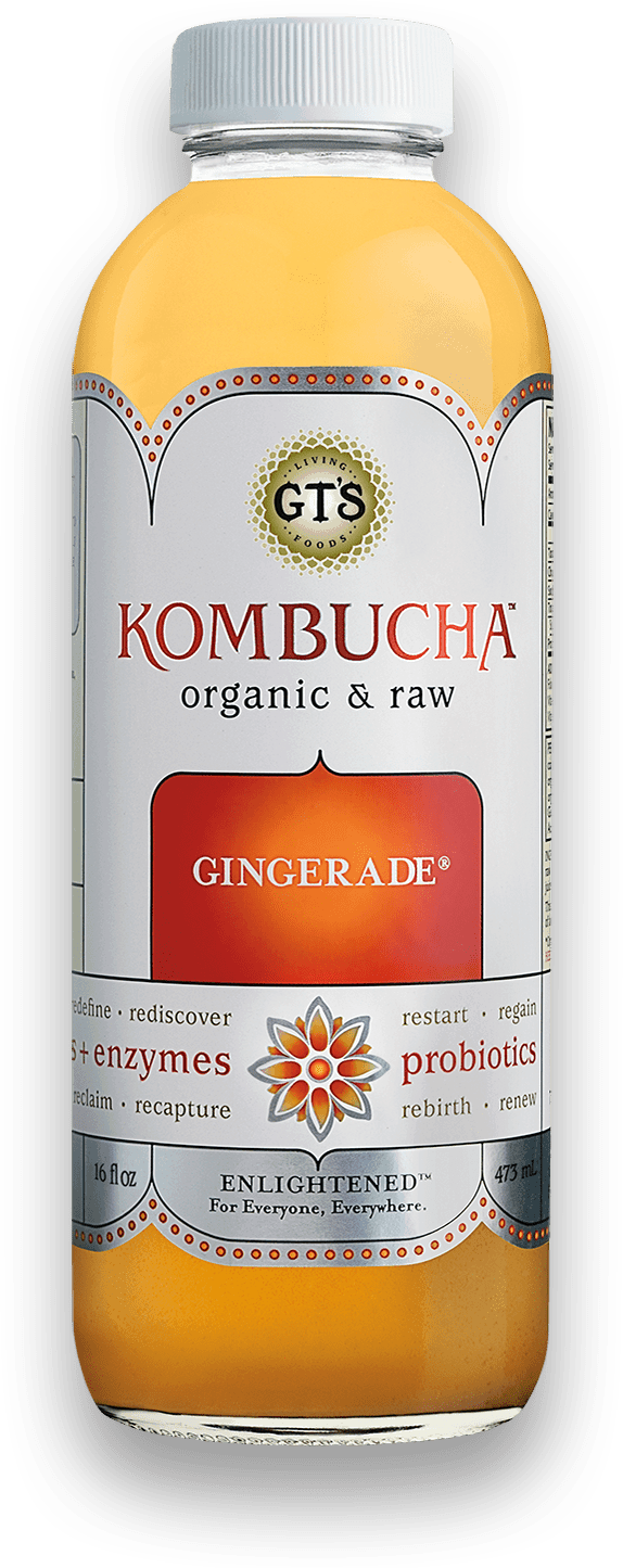GT's Enlightened Kombucha Gingerade 12 units per case 16.0 fl