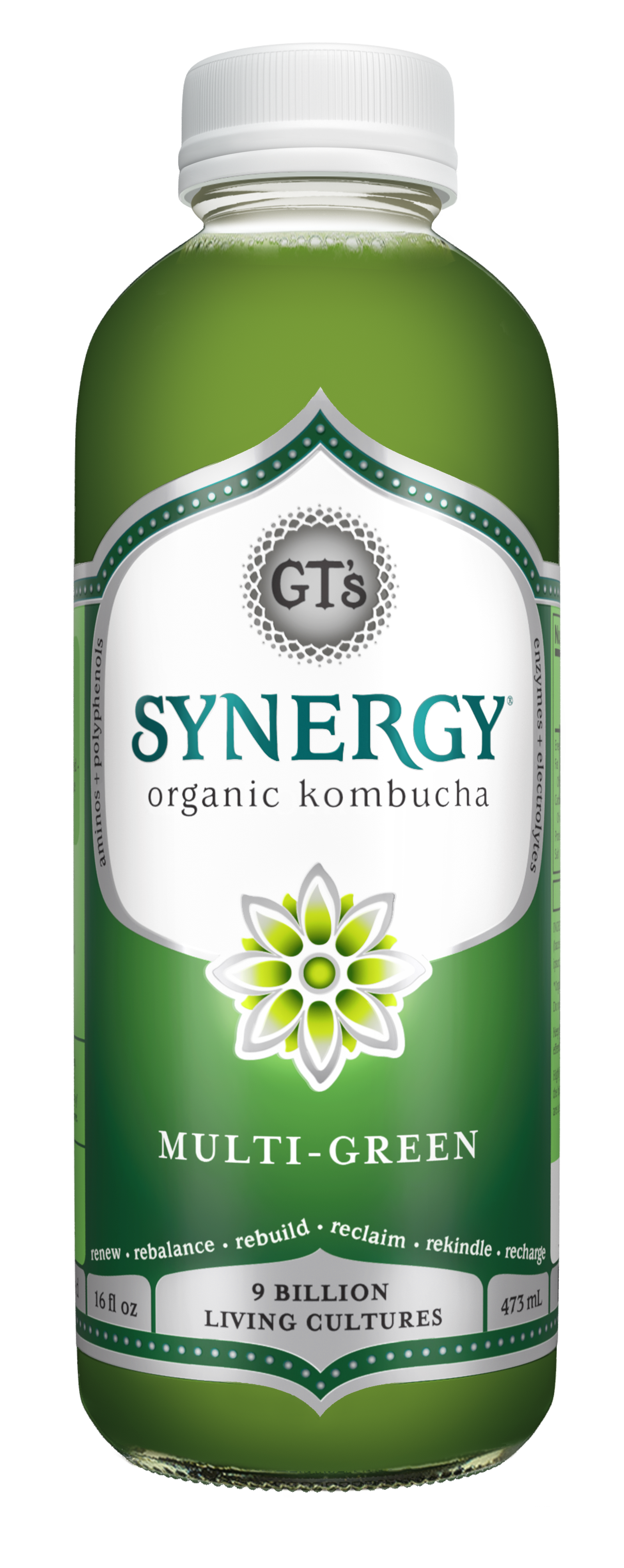 GT's Synergy Kombucha Multi-Green 12 units per case 16.0 fl