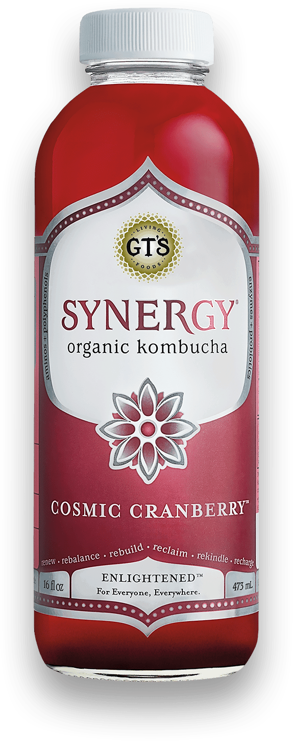 GT's Synergy Kombucha Cosmic Cranberry 12 units per case 16.0 fl