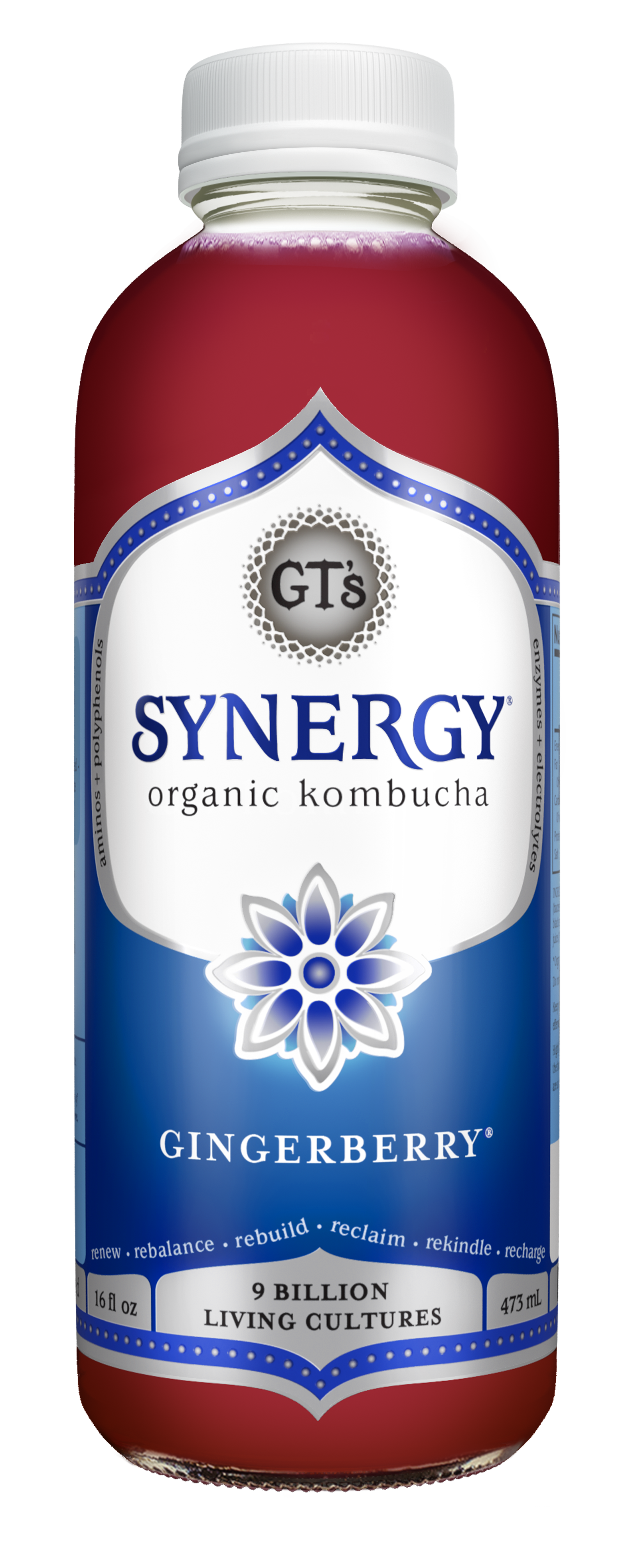 GT's Synergy Kombucha Gingerberry 12 units per case 16.0 fl