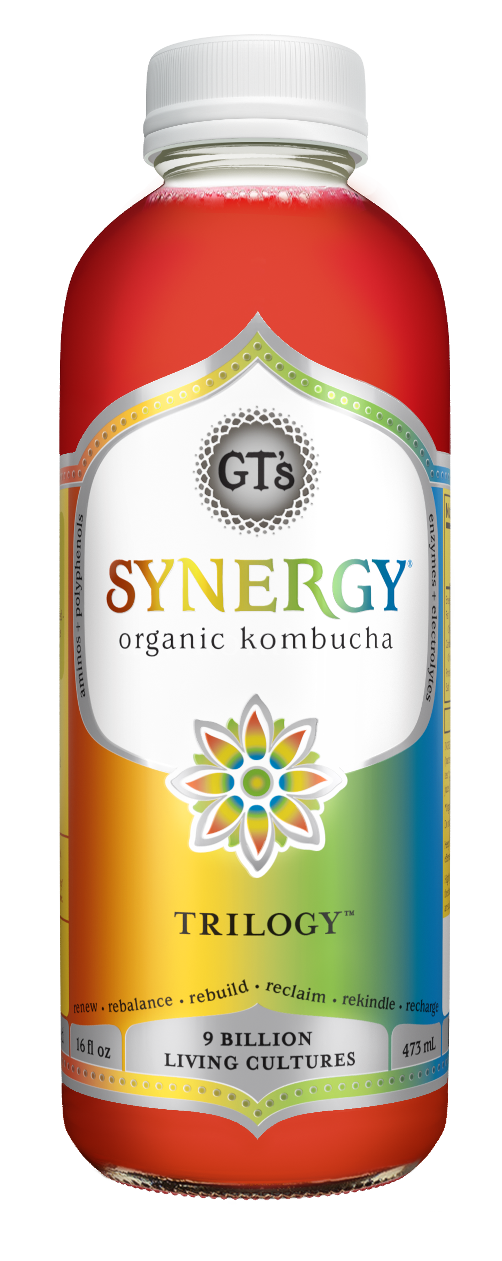 GT's Synergy Kombucha Trilogy 12 units per case 16.0 fl