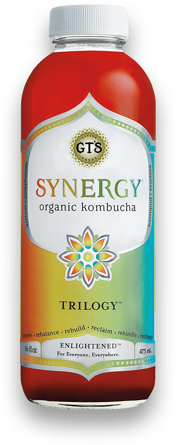 GT's Synergy Kombucha Trilogy 12 units per case 16.0 fl