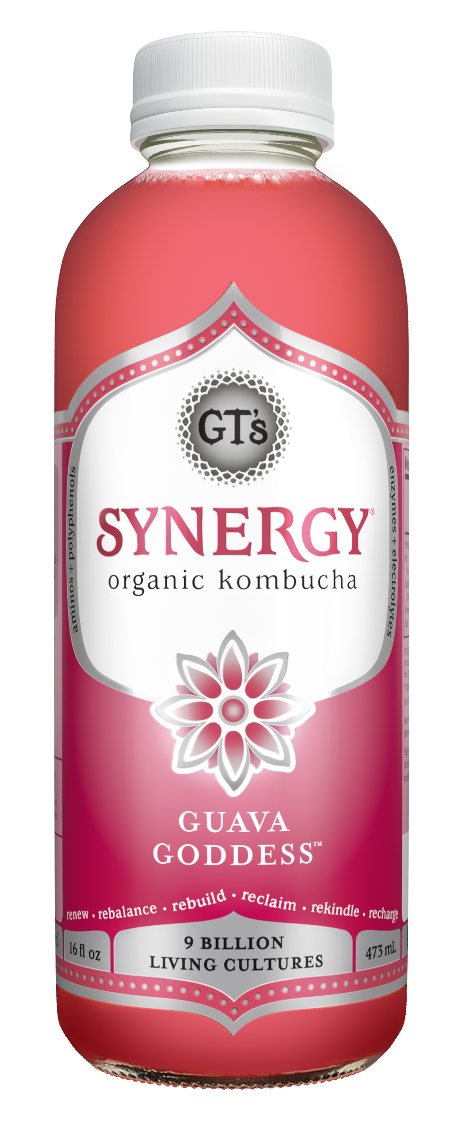 GT's Synergy Kombucha Guava Goddess 12 units per case 16.0 fl