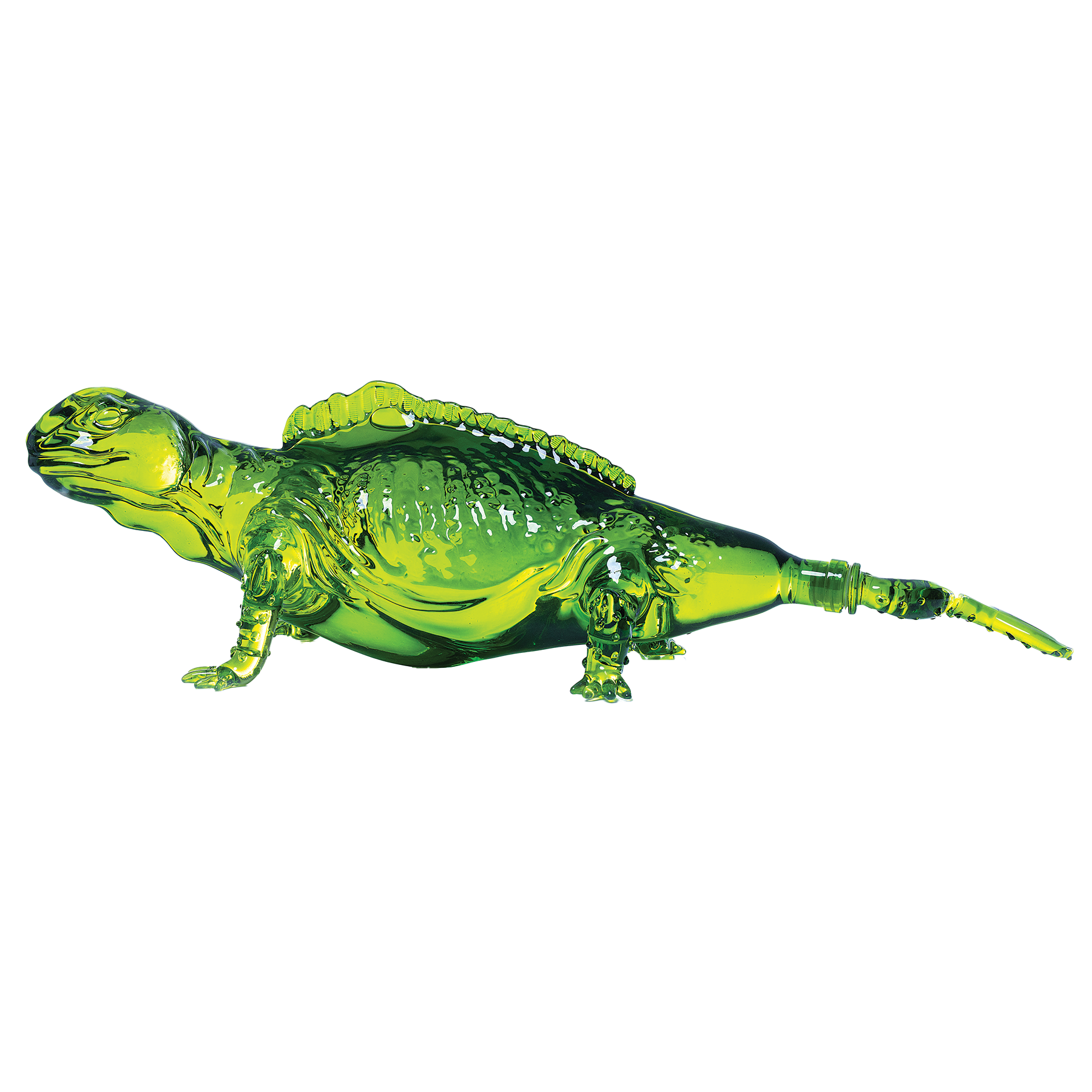 Don Chinto Iguana 4 units per case 25.4 fl